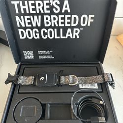 Fi Series 3 GPS Dog Collar