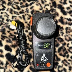 Vintage Paddle Atari