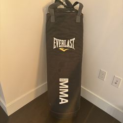 Punching Bag