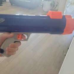 Nerf Dog