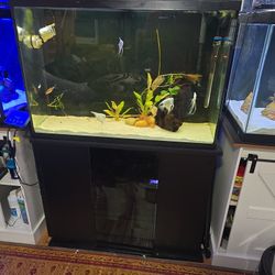 45 Gallon Tall And Stand