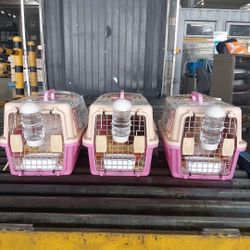 Pet Oxygen cage For Sale