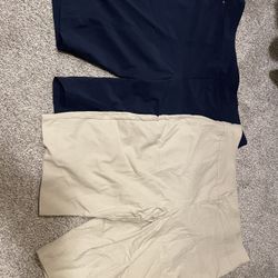 Chicos Shorts
