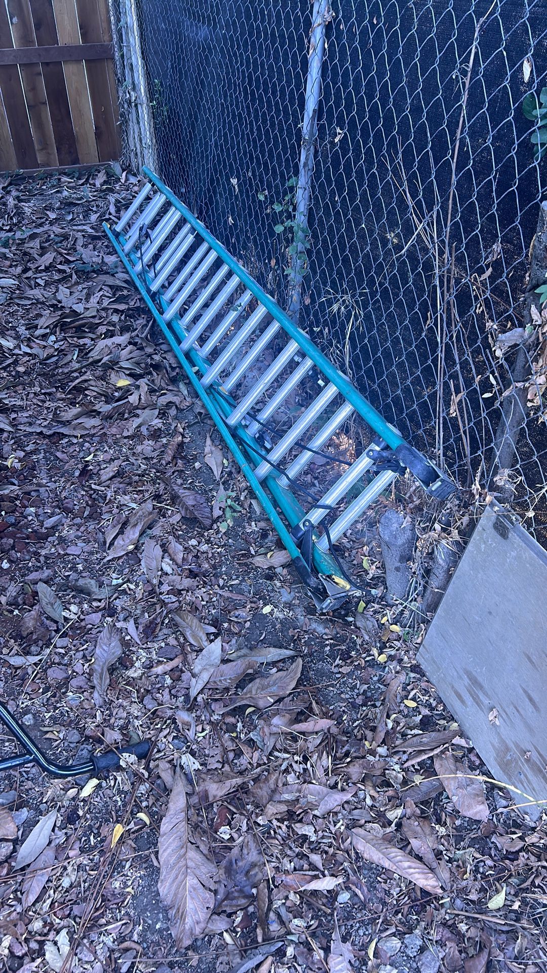 2 Story Ladder