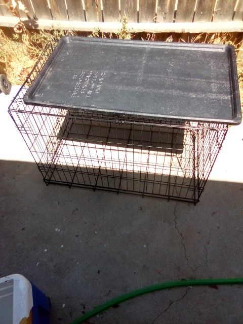 big dog crate