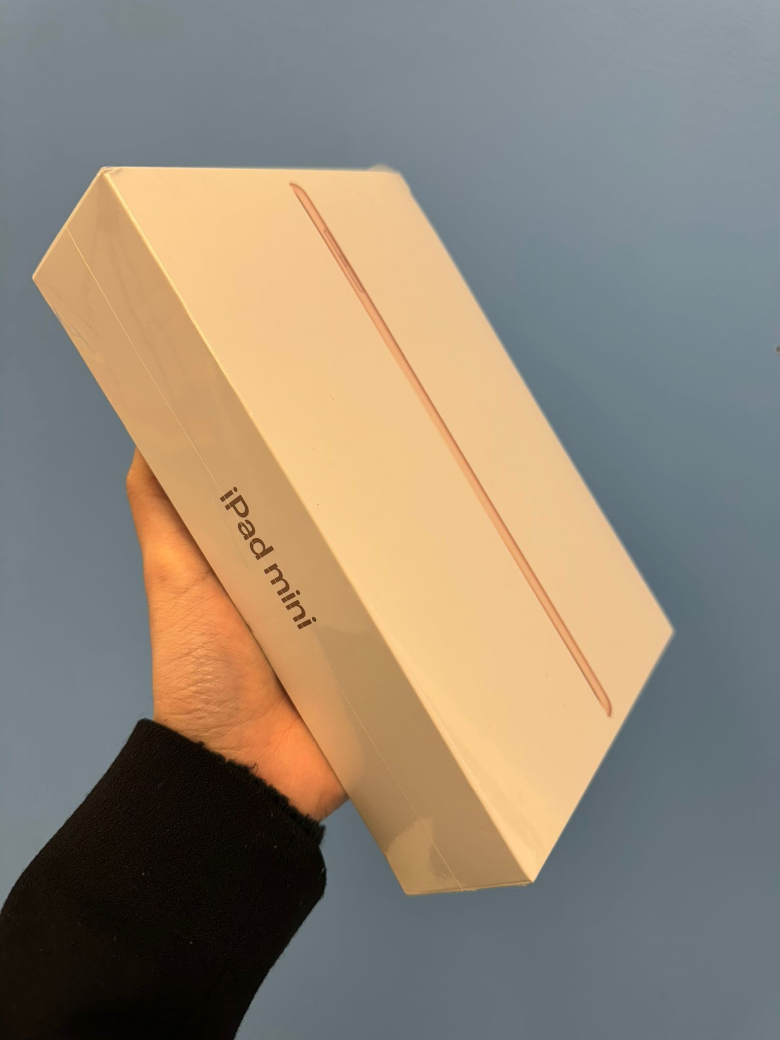 New Apple iPad Mini 5 Generation - Pay $1 Today to Take it Home and Pay the Rest Later!