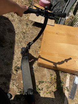 Electric adult scooter