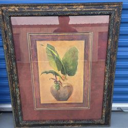Plant Picture Frame 