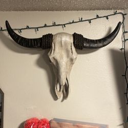 Bull Head / Wall Decor
