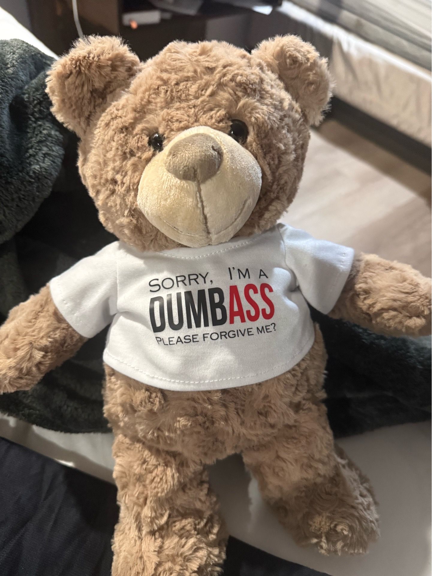 Small bear