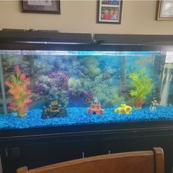 55 Gallon Fish Tank And Stand  And Fish
