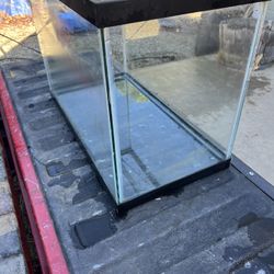 Fish Tank