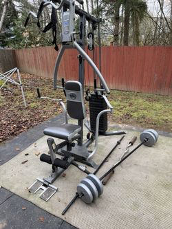 Gym Multi-gym, boxing bag and speed bag stand, weight plates and bars.