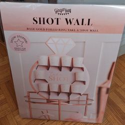 Bachelorette Party Shot Wall