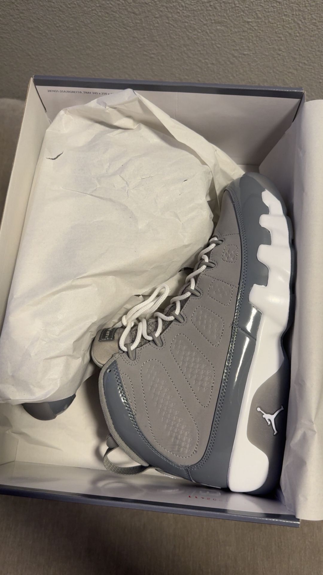 Jordan 9 Retro ‘Cool Grey’ Sz 10