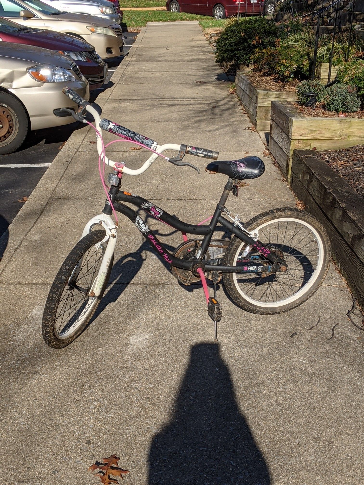 Free Kid Bicycle