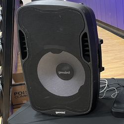 Mk2 Gemini 15in PA Speaker 