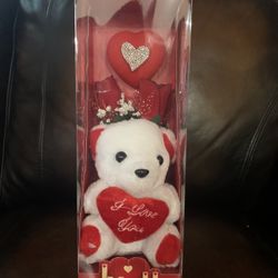 Teddy Bear With Hearts 