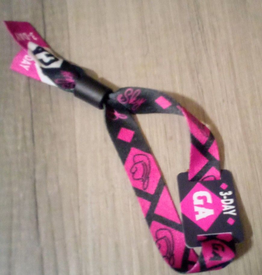 1 Sunday general admission Golden Sky Festival wristband