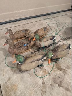 Decoys