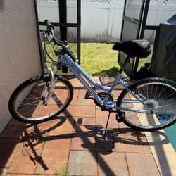24 Inch Roadmaster Mountain Bike 