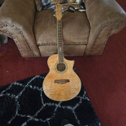 Ibenez  Ew Exotic Wood Series Acoustic Guitar