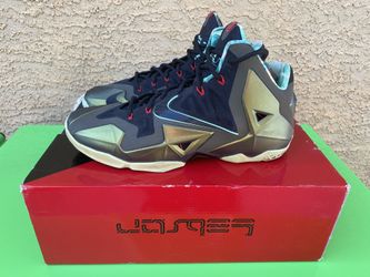Nike Lebron XI Kings Pride Size 12