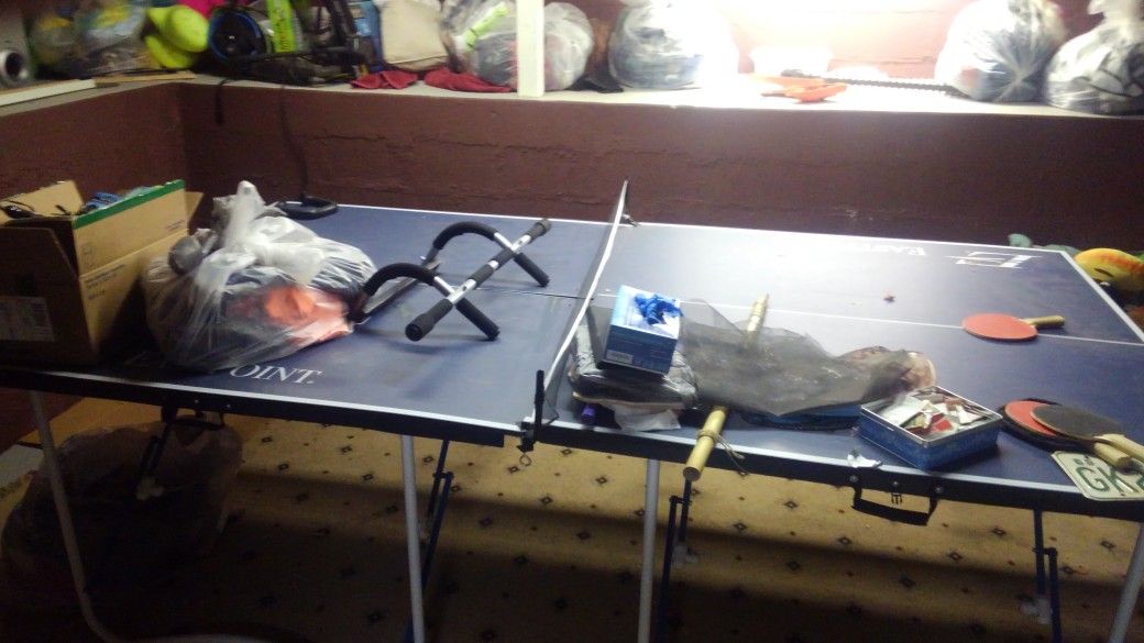 Ping pong table and air hockey table