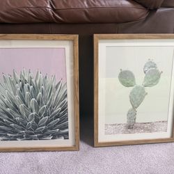 Wood Framed Succulent Artwork