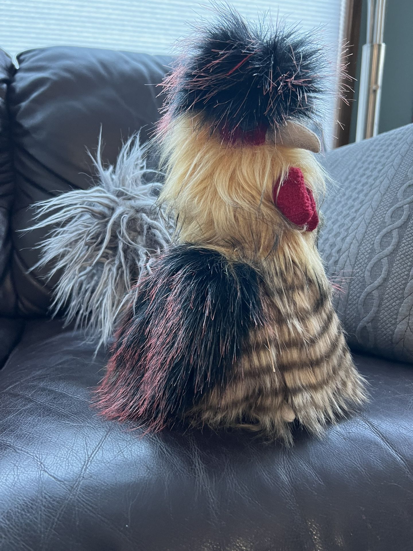 Silkie Hatching Eggs