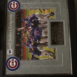 2016 World Series Champions