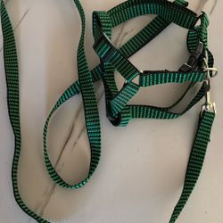 Small Harness & Leash