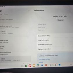 Samsung Tablet A9+