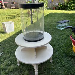 10 Gallon Round Fish Tank And Stand Of Choice 