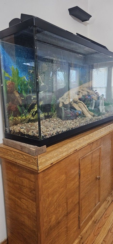 Fish Tank