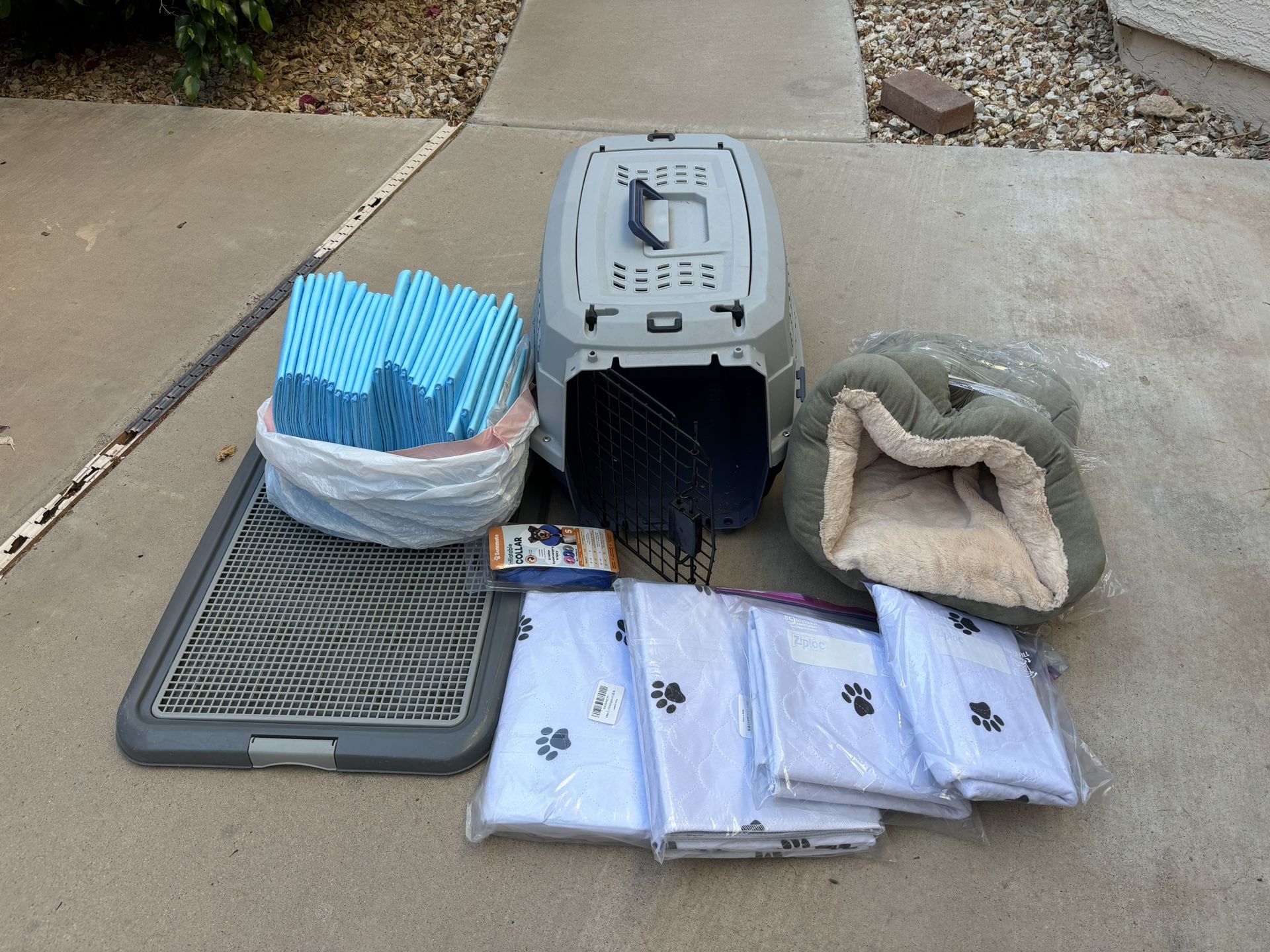 Puppy Starter Supplies