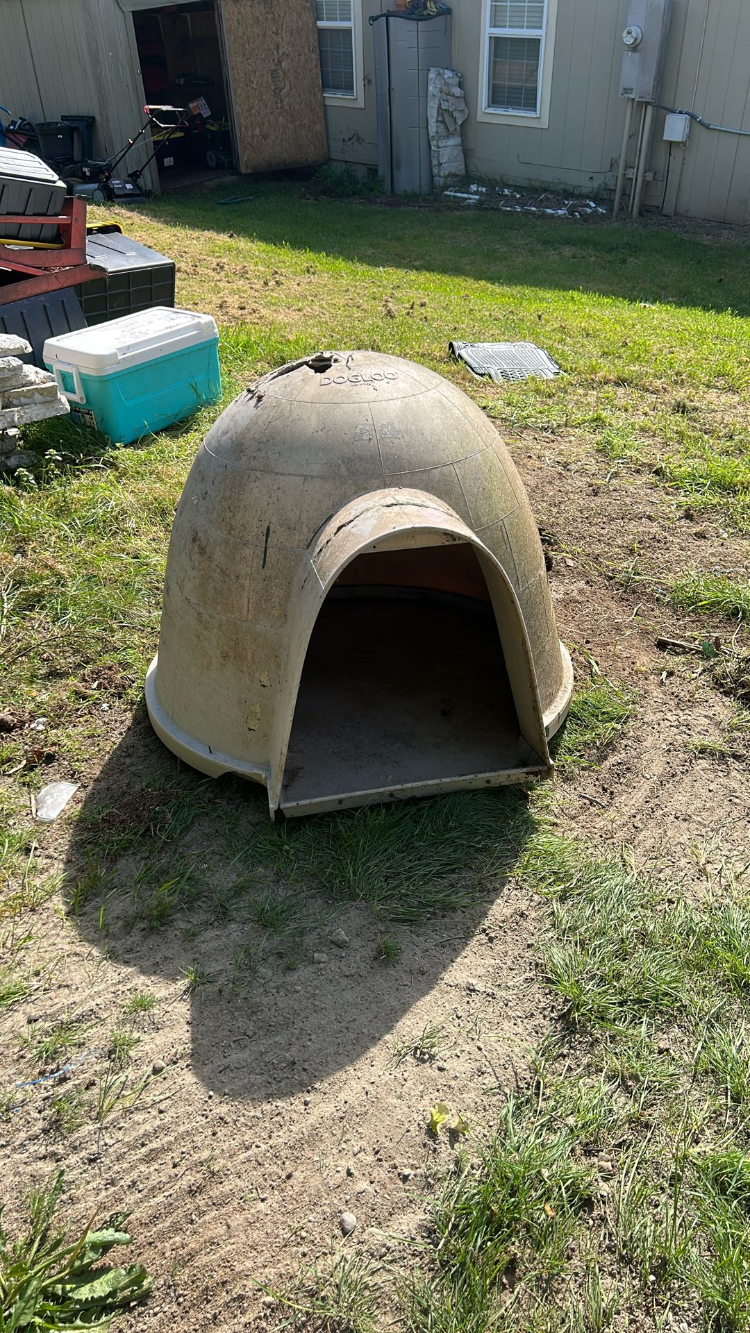 Dog Igloo 