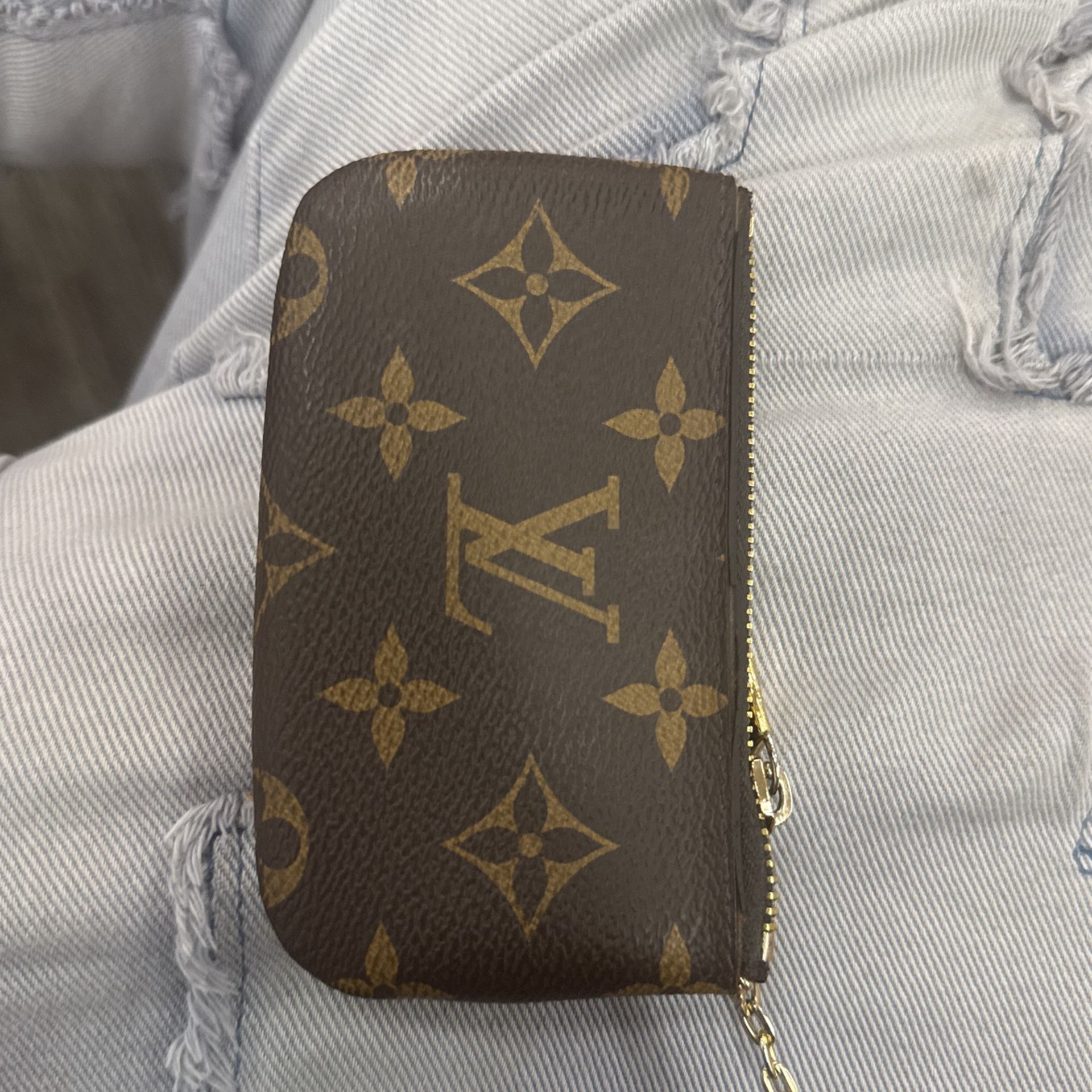 Louis Vuitton pouch 