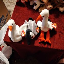 3 Fine Feathered Ty Beanie Baby Birds