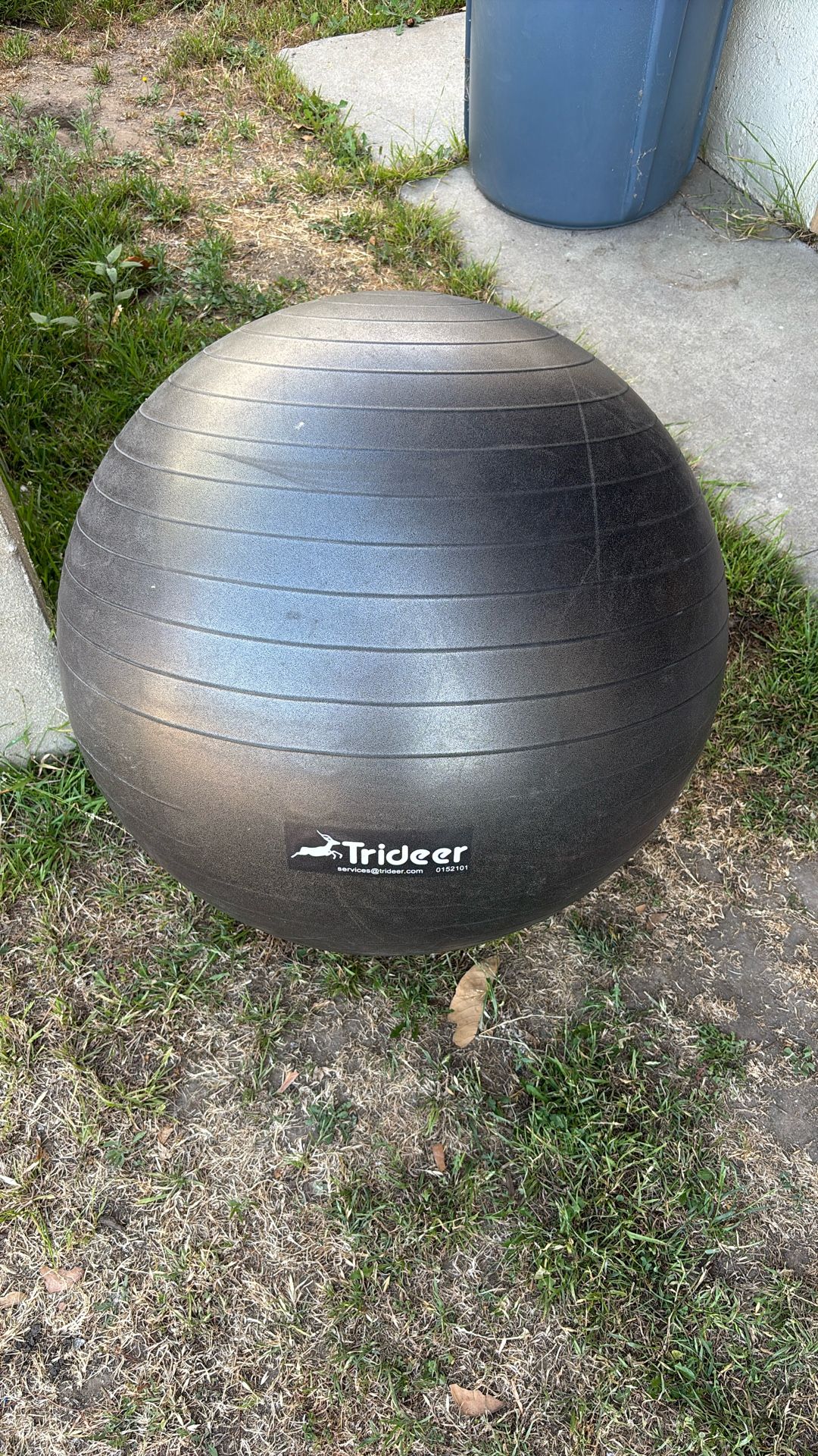 Trideer Exercise Ball