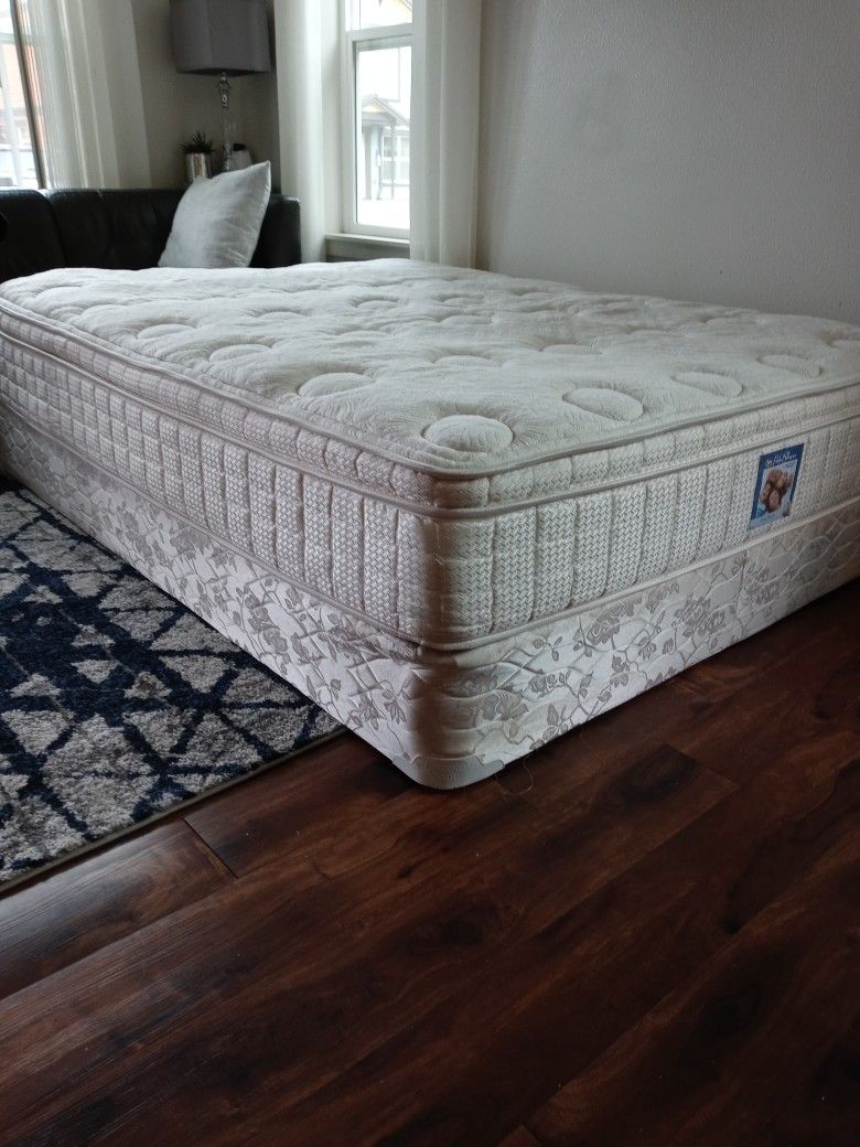 Queen Mattress And Spring Box Excellent Condition Pet Free Smoke-free Nice And Clean
