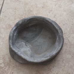 Reptile Lizard bowl
