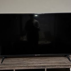 48” LG TV