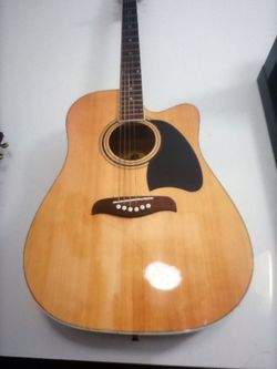 Acoustic electric guitar