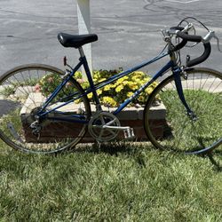 1977?? Raleigh Champion Lady’s 12 spd.27” bike  