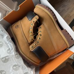 Men's Timberland Premium 6-Inch Waterproof Boot