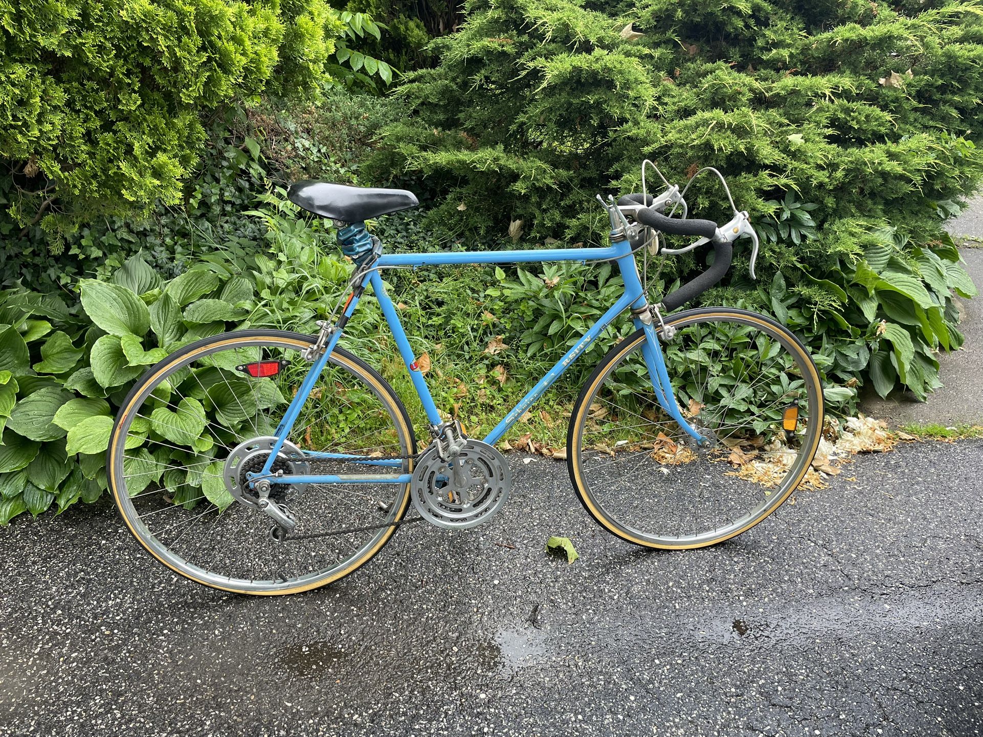 Vintage schwinn bikes