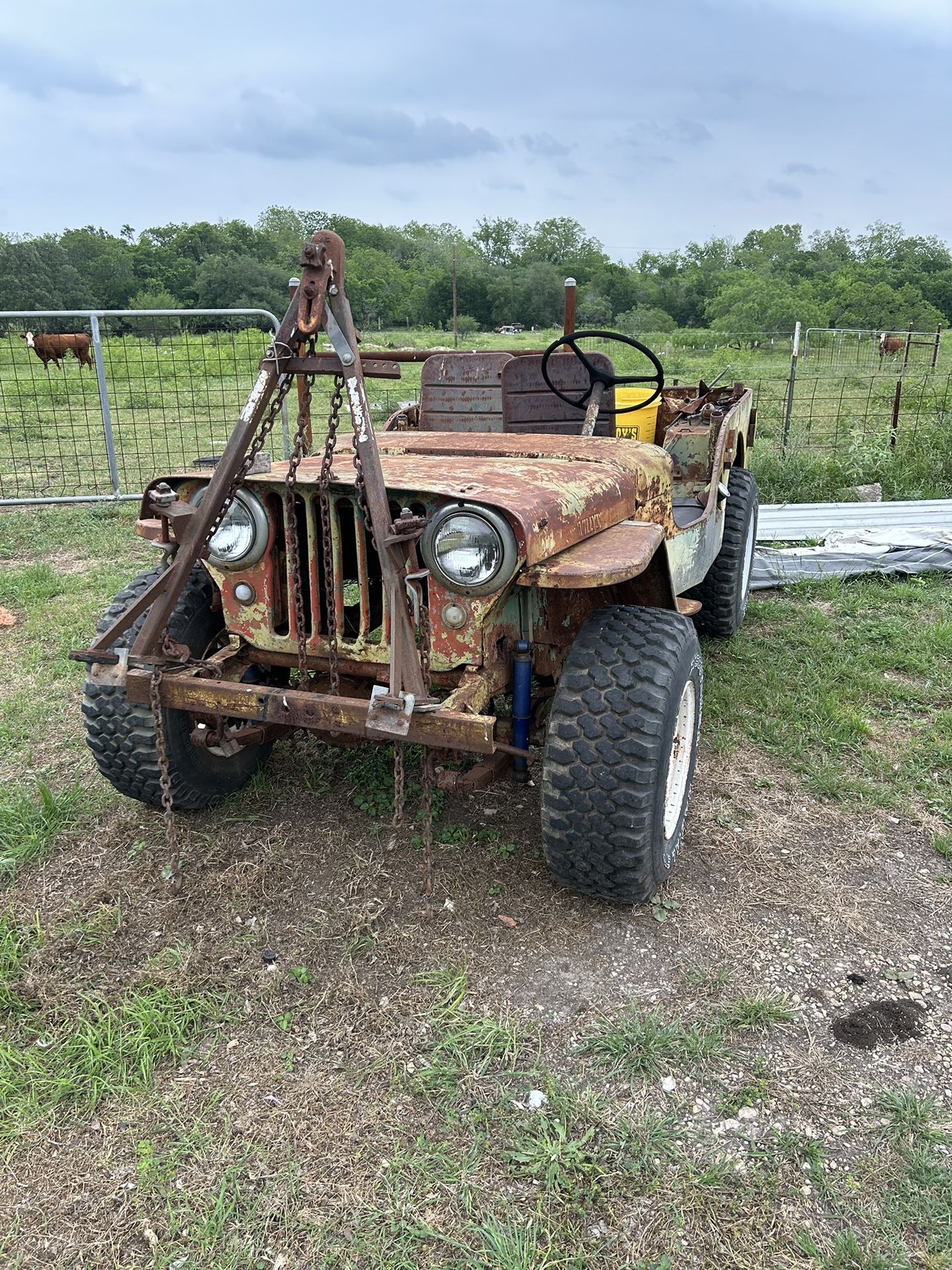 Willys 