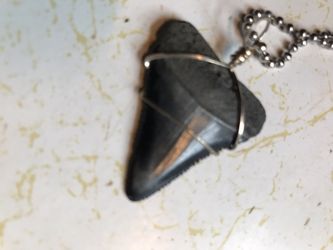Sharks tooth necklace