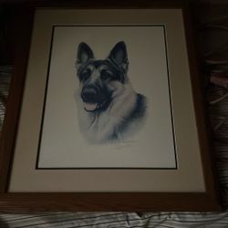 German Shepherd framed Print